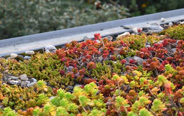 the cost of Llanddeusant green roof installation