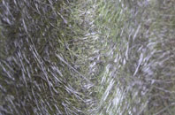 Llanddeusant fibreglass roof work